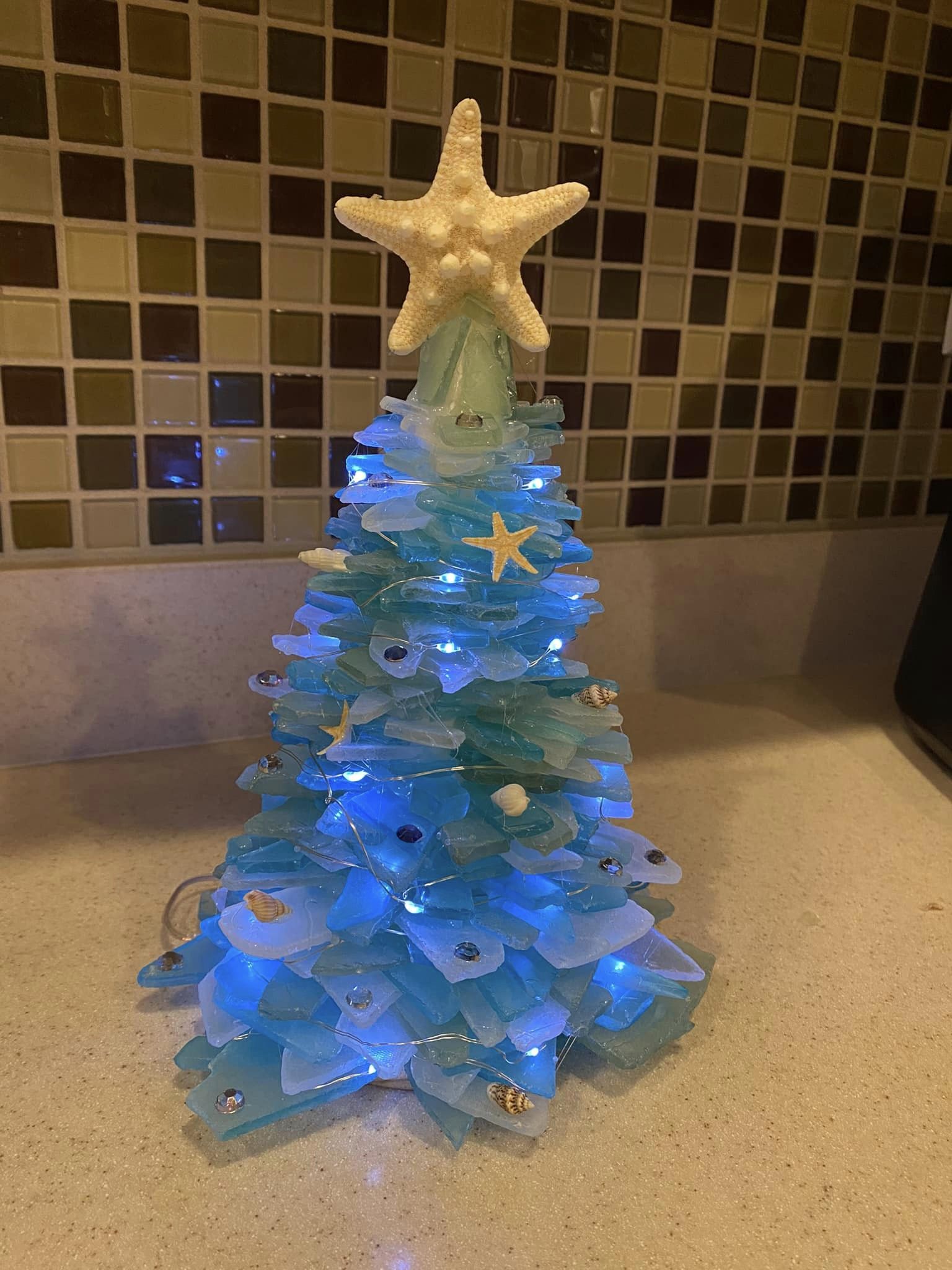05/16/25 6:00pm Tumbled Sea Glass Trees & Succulents