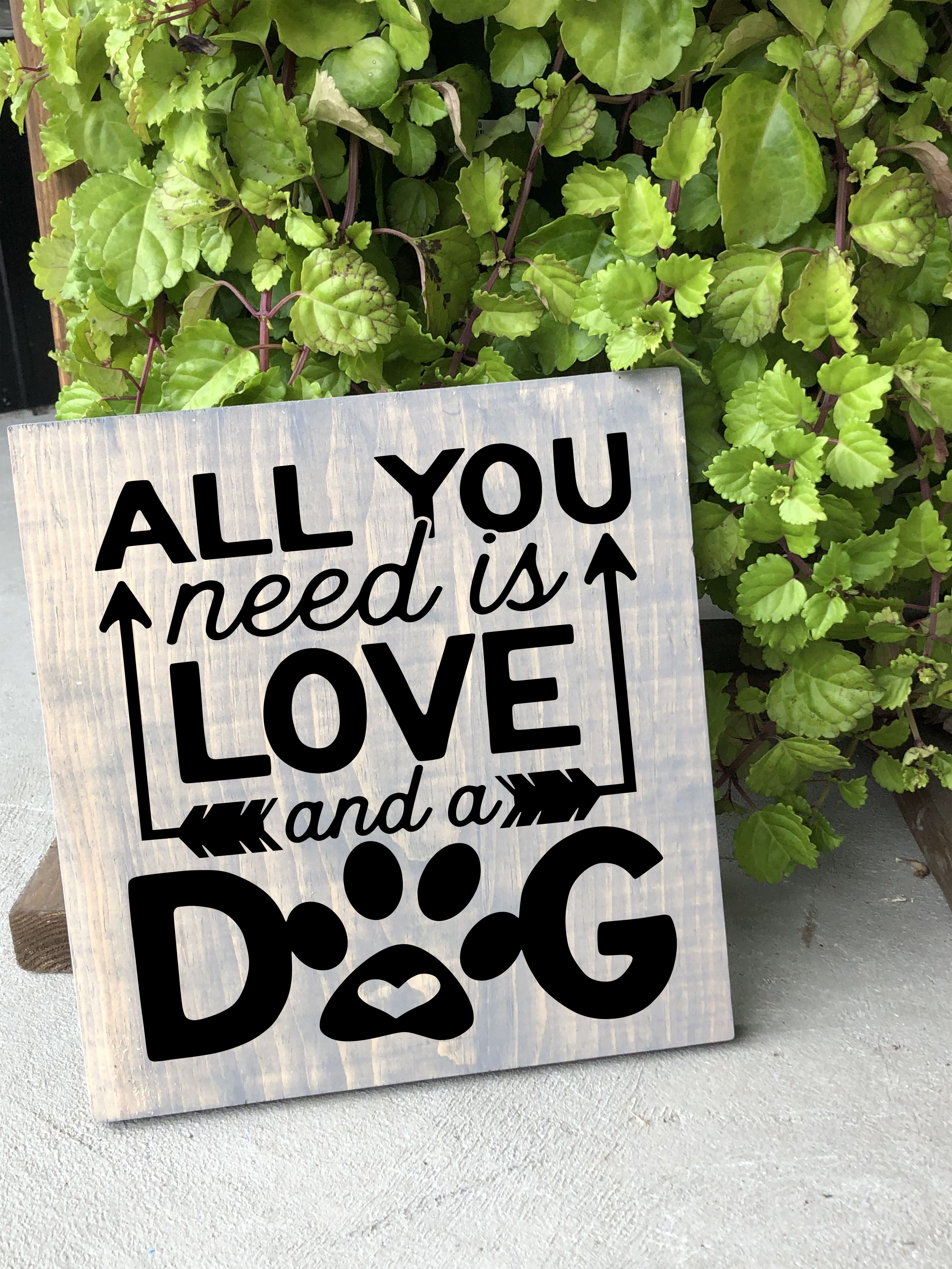 03/05/26 6:00pm All Things Pets & Portraits