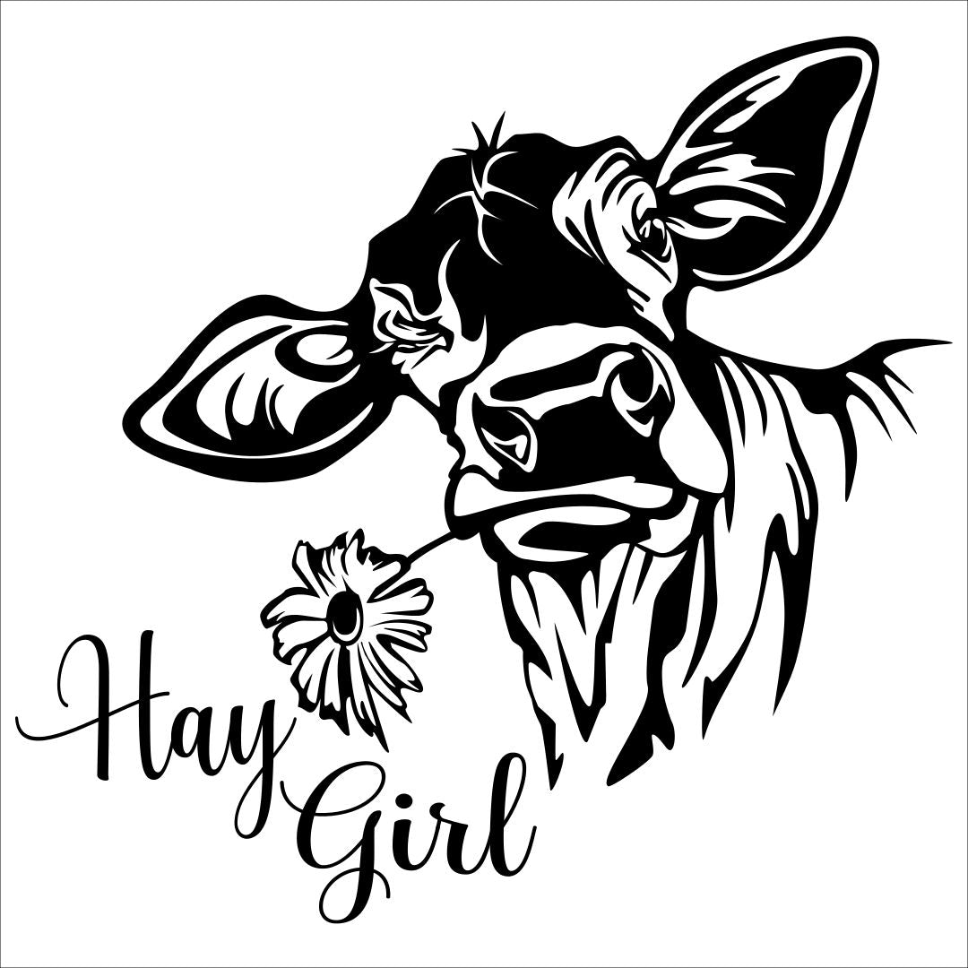 Tween Designs: Pillows, Totes or Wood Signs