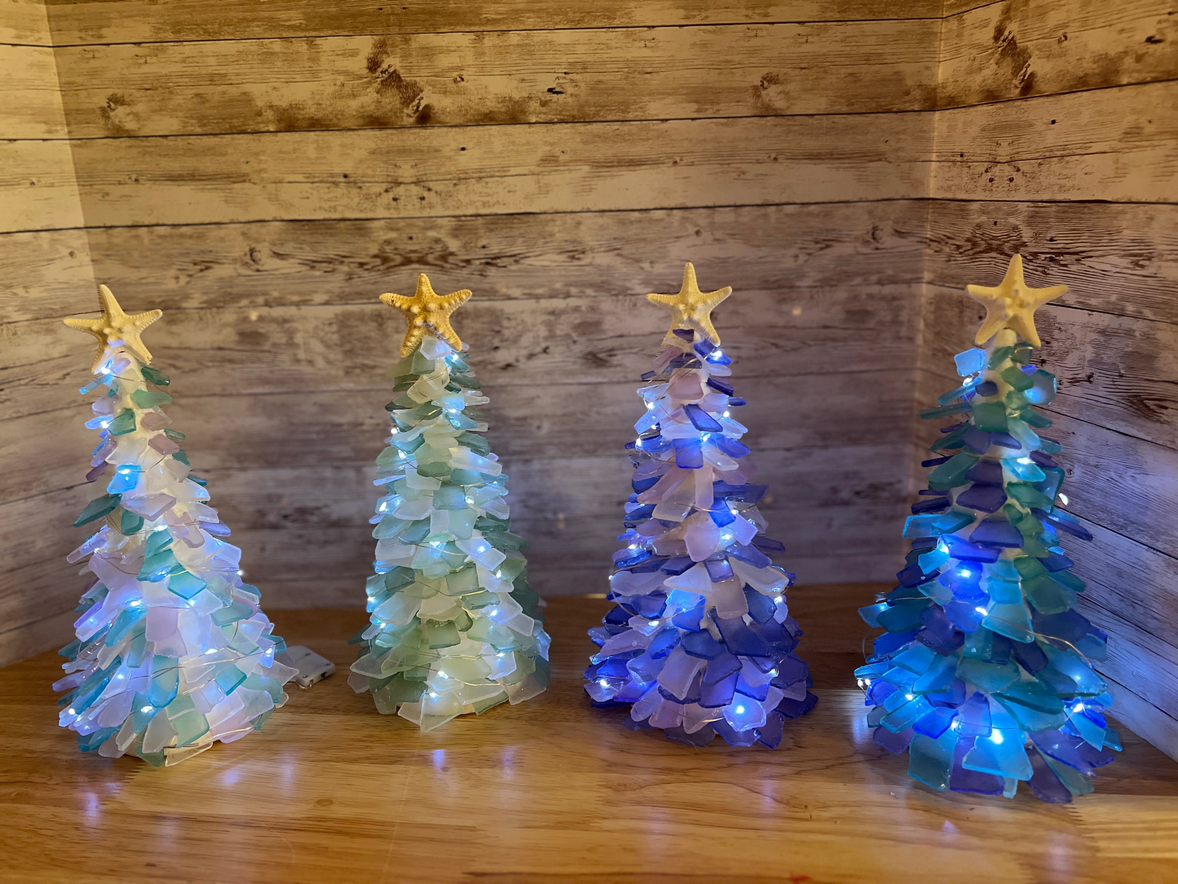 05/16/25 6:00pm Tumbled Sea Glass Trees & Succulents