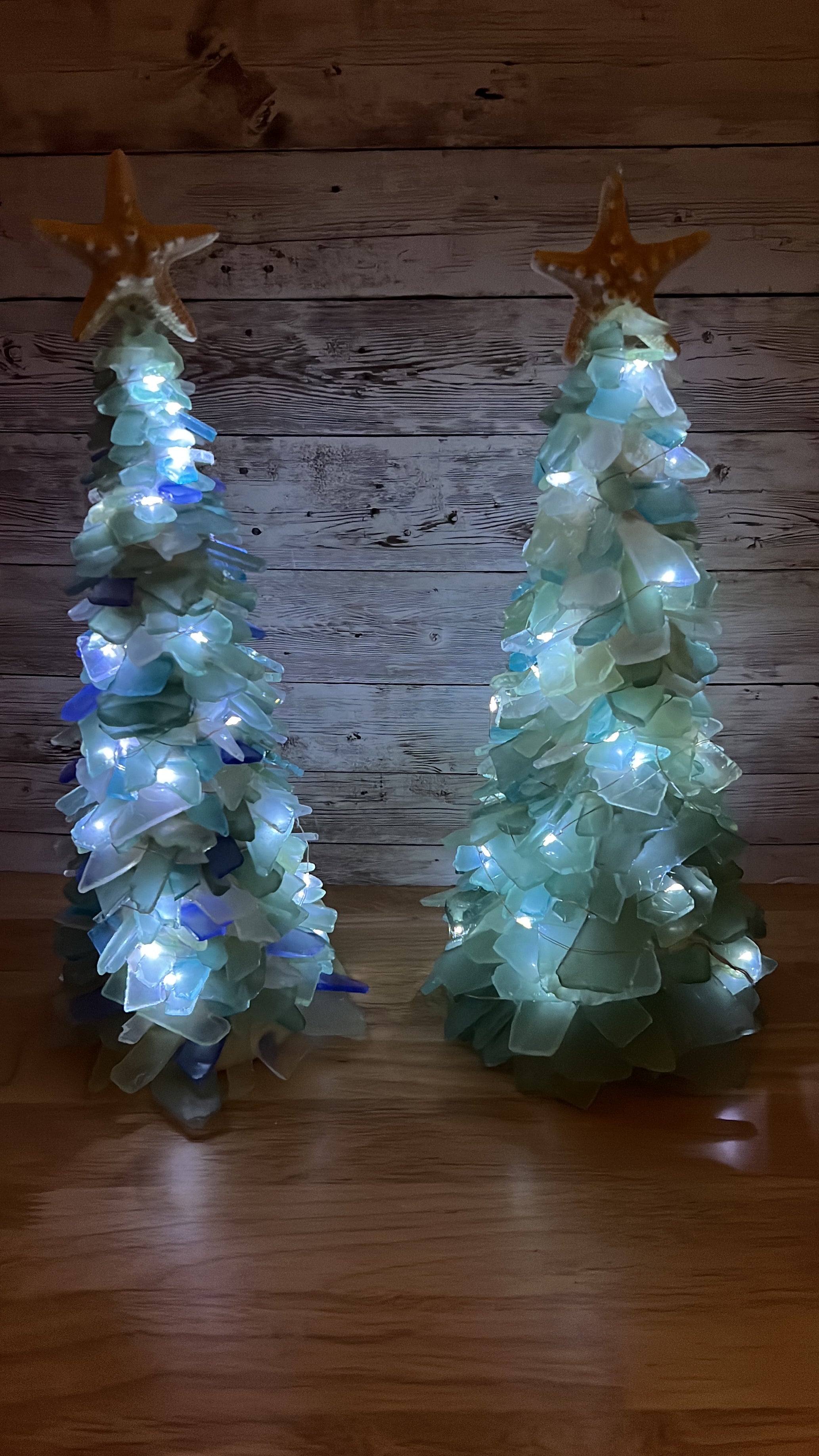 05/16/25 6:00pm Tumbled Sea Glass Trees & Succulents