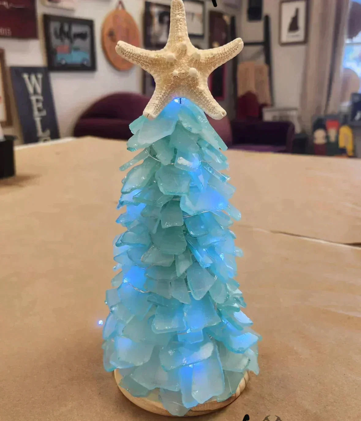 05/16/25 6:00pm Tumbled Sea Glass Trees & Succulents