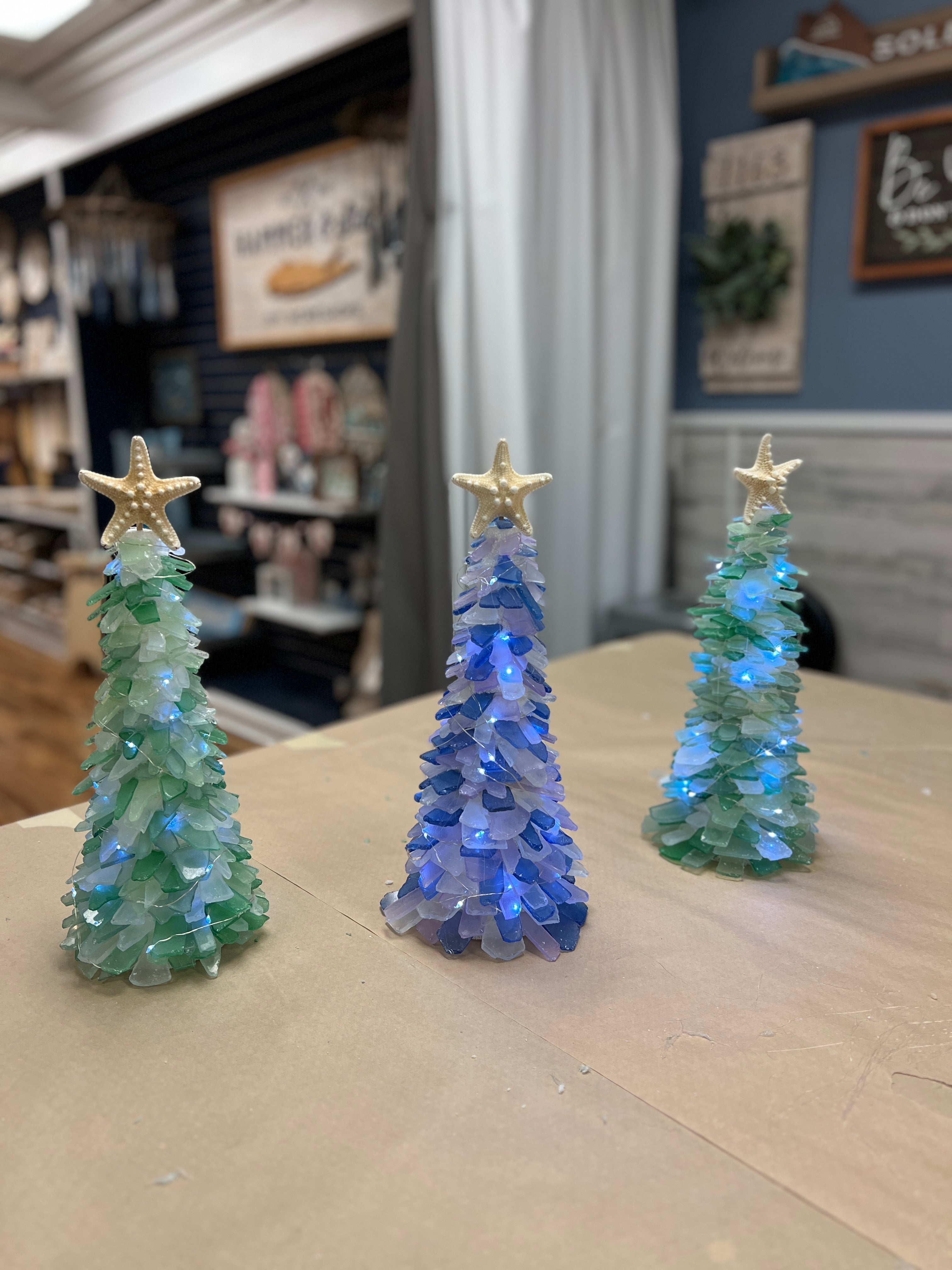 05/16/25 6:00pm Tumbled Sea Glass Trees & Succulents