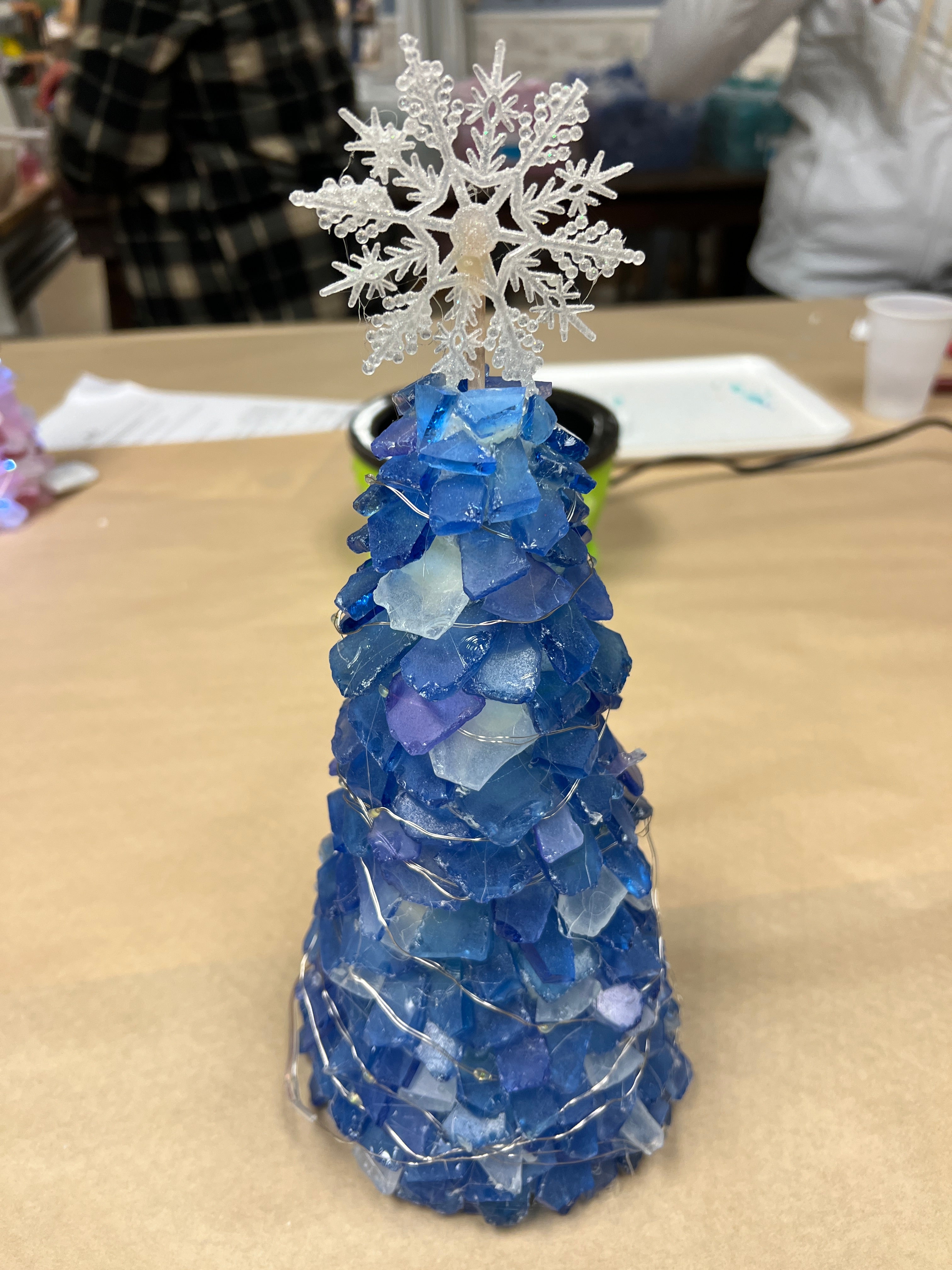 05/16/25 6:00pm Tumbled Sea Glass Trees & Succulents