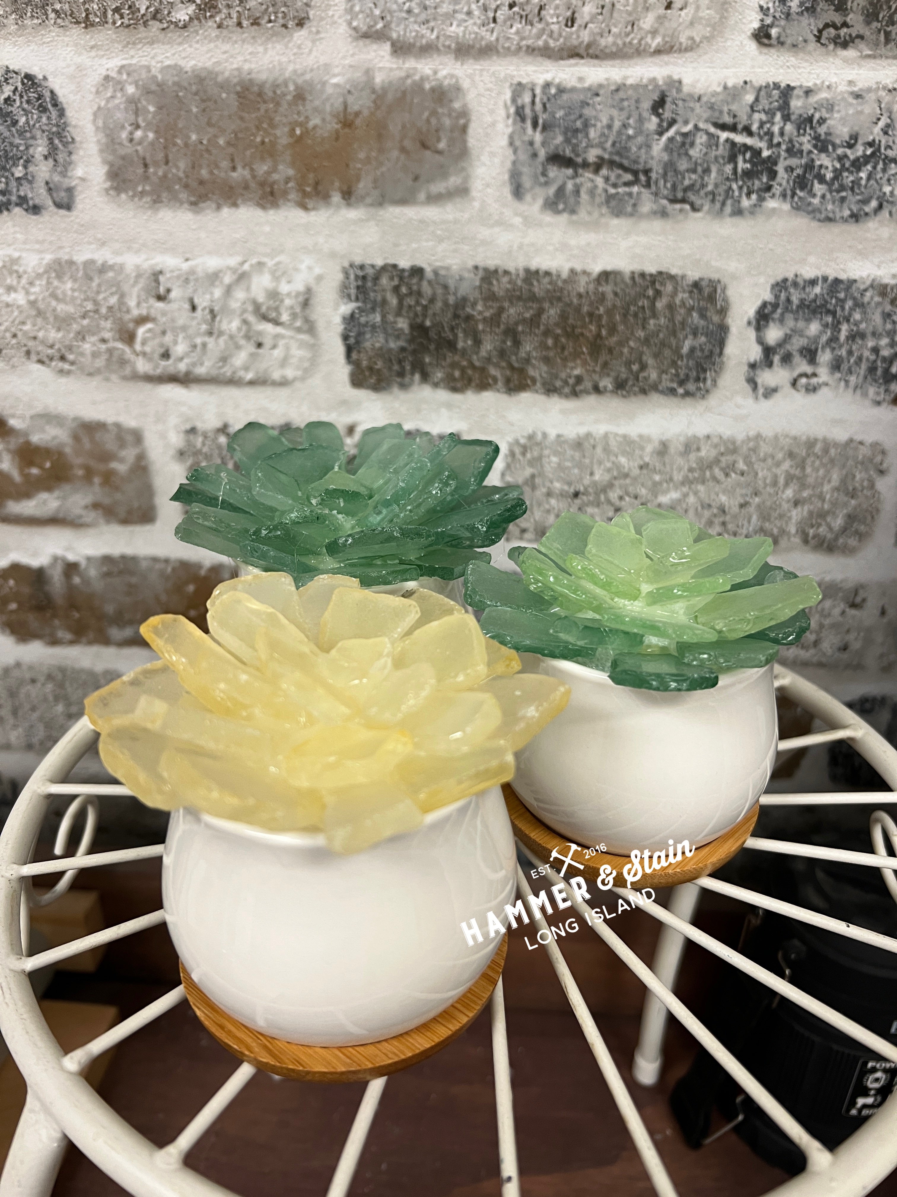 05/16/25 6:00pm Tumbled Sea Glass Trees & Succulents