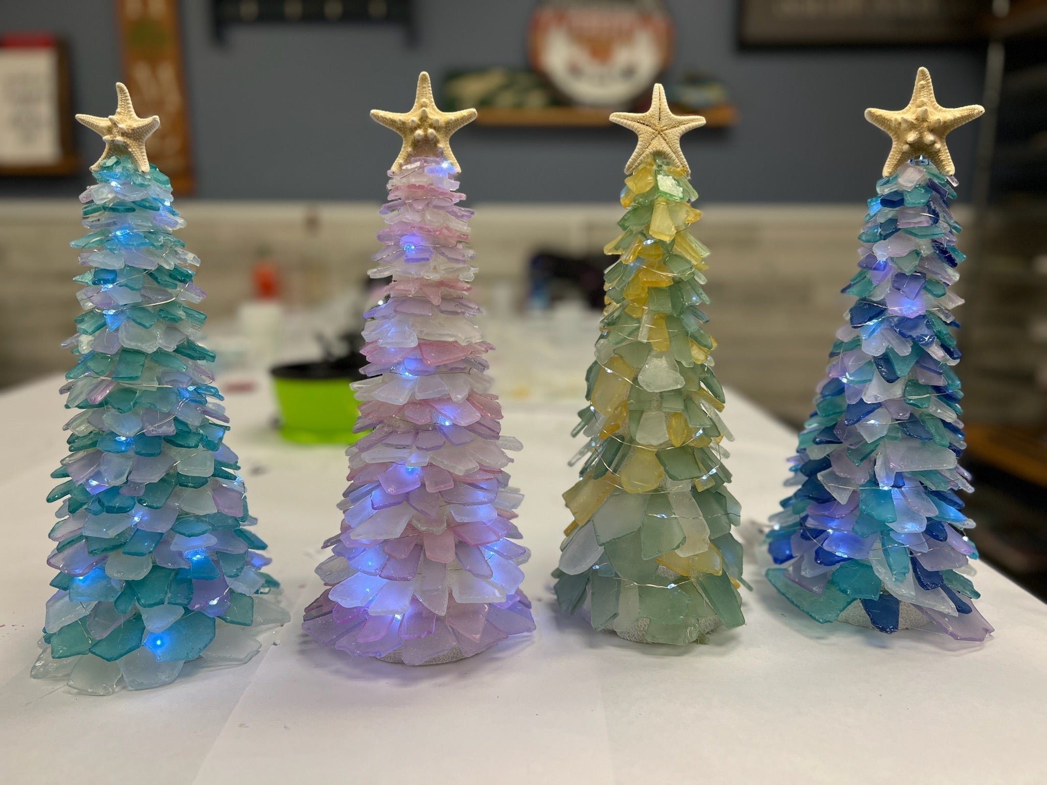 05/16/25 6:00pm Tumbled Sea Glass Trees & Succulents