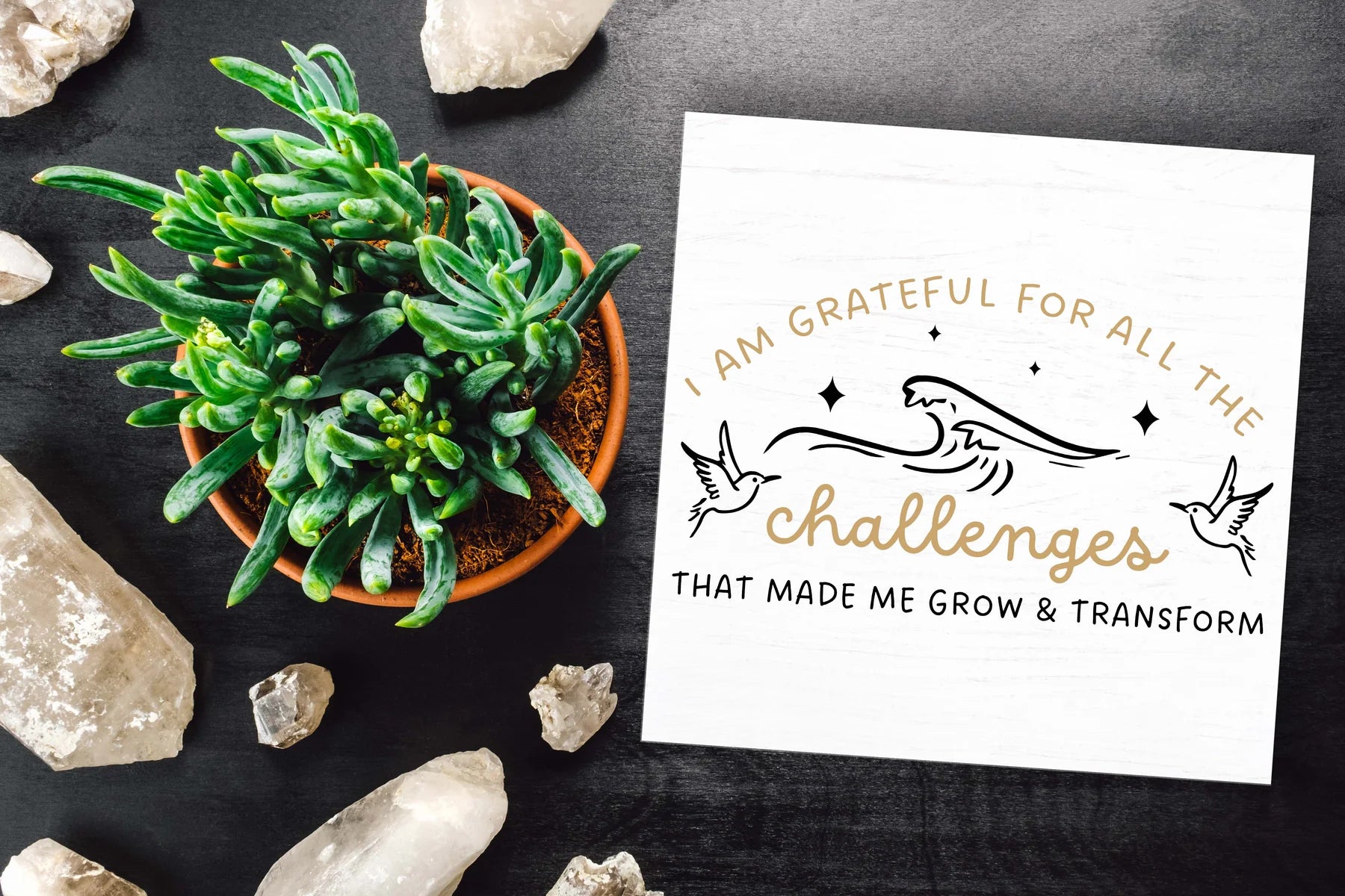 Tween Designs: Pillows, Totes or Wood Signs