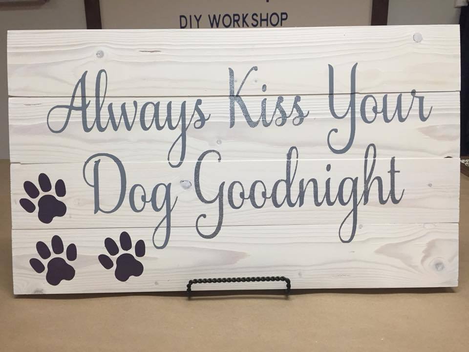 03/05/26 6:00pm All Things Pets & Portraits