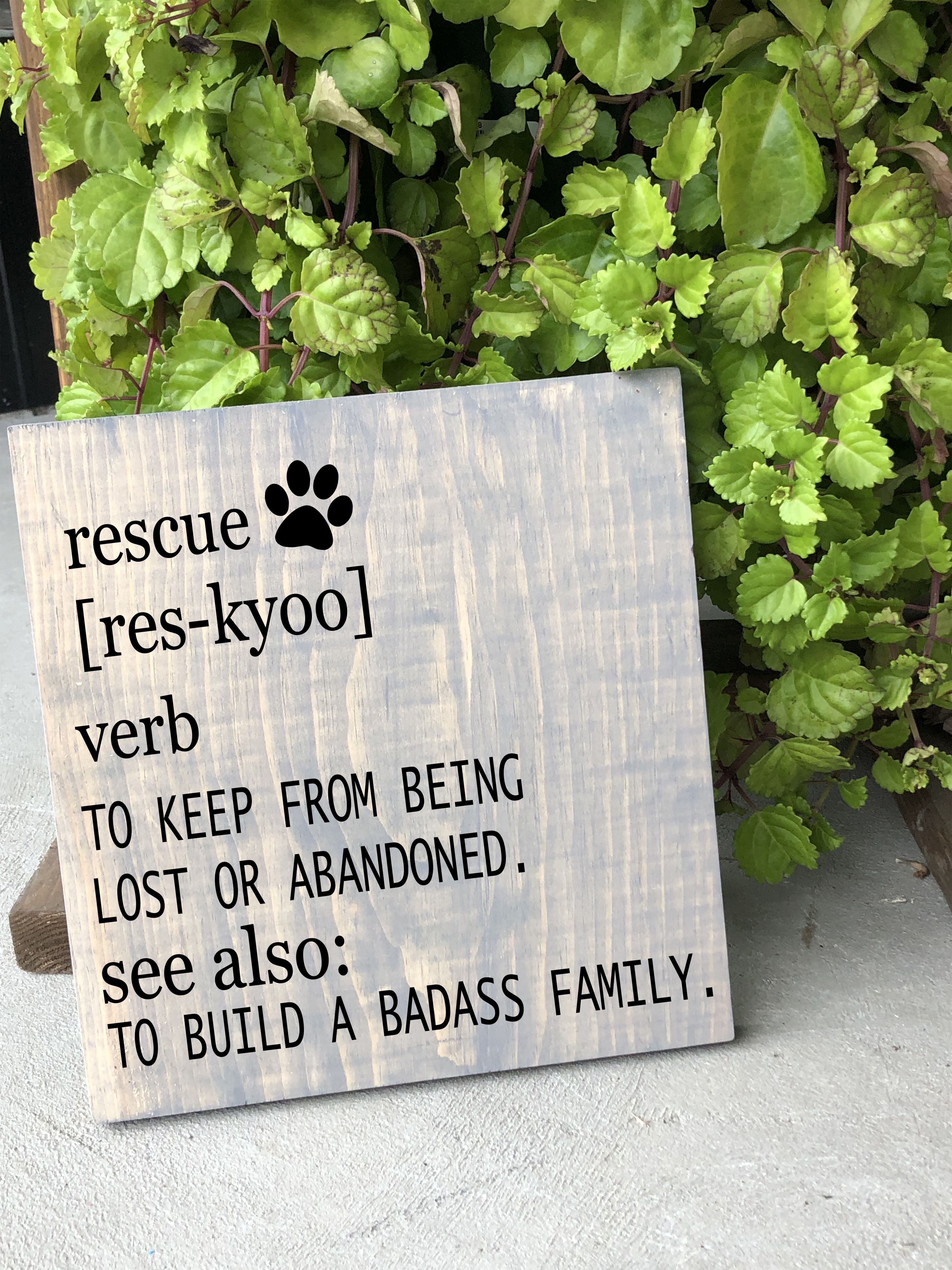 03/05/26 6:00pm All Things Pets & Portraits