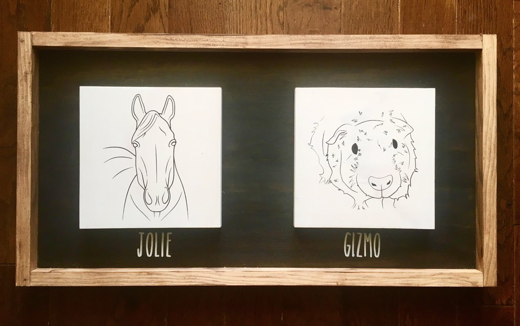 03/05/26 6:00pm All Things Pets & Portraits