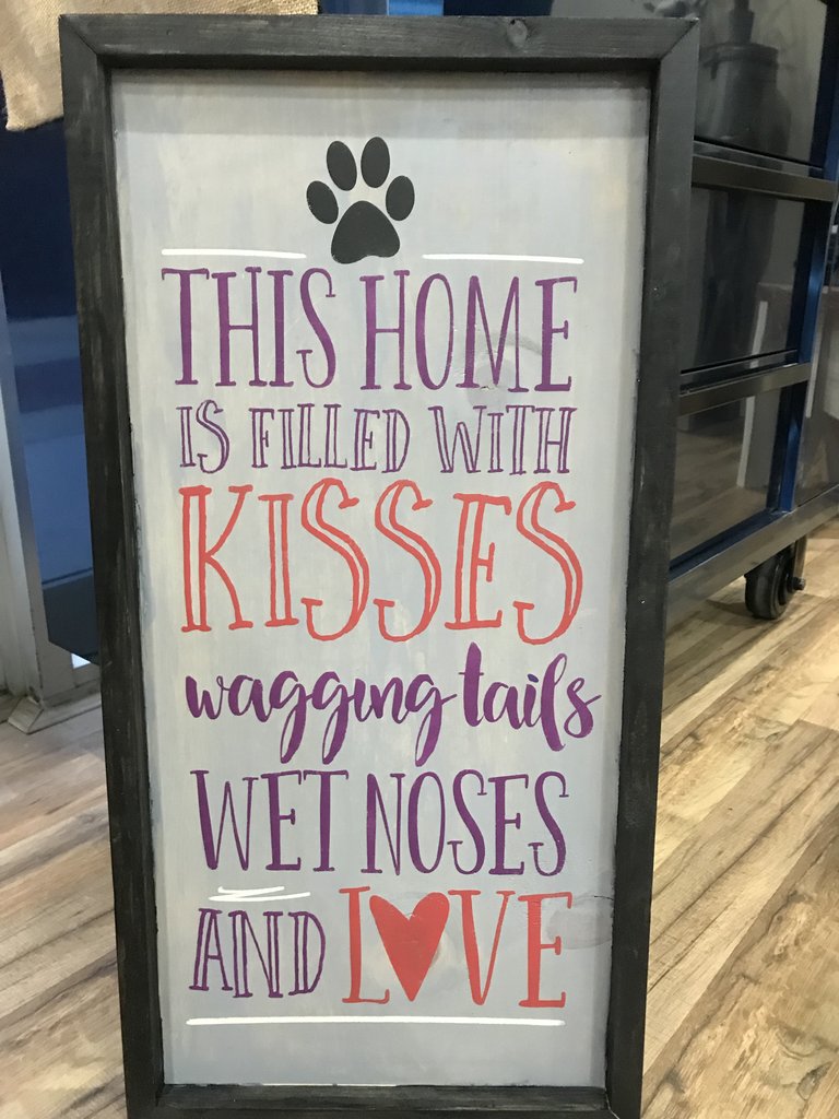 03/05/26 6:00pm All Things Pets & Portraits